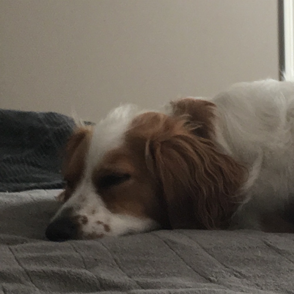 Meet your Posher, Debbie